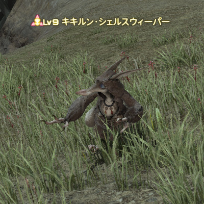 ff14 討伐手帳 安い 槍 キキルン